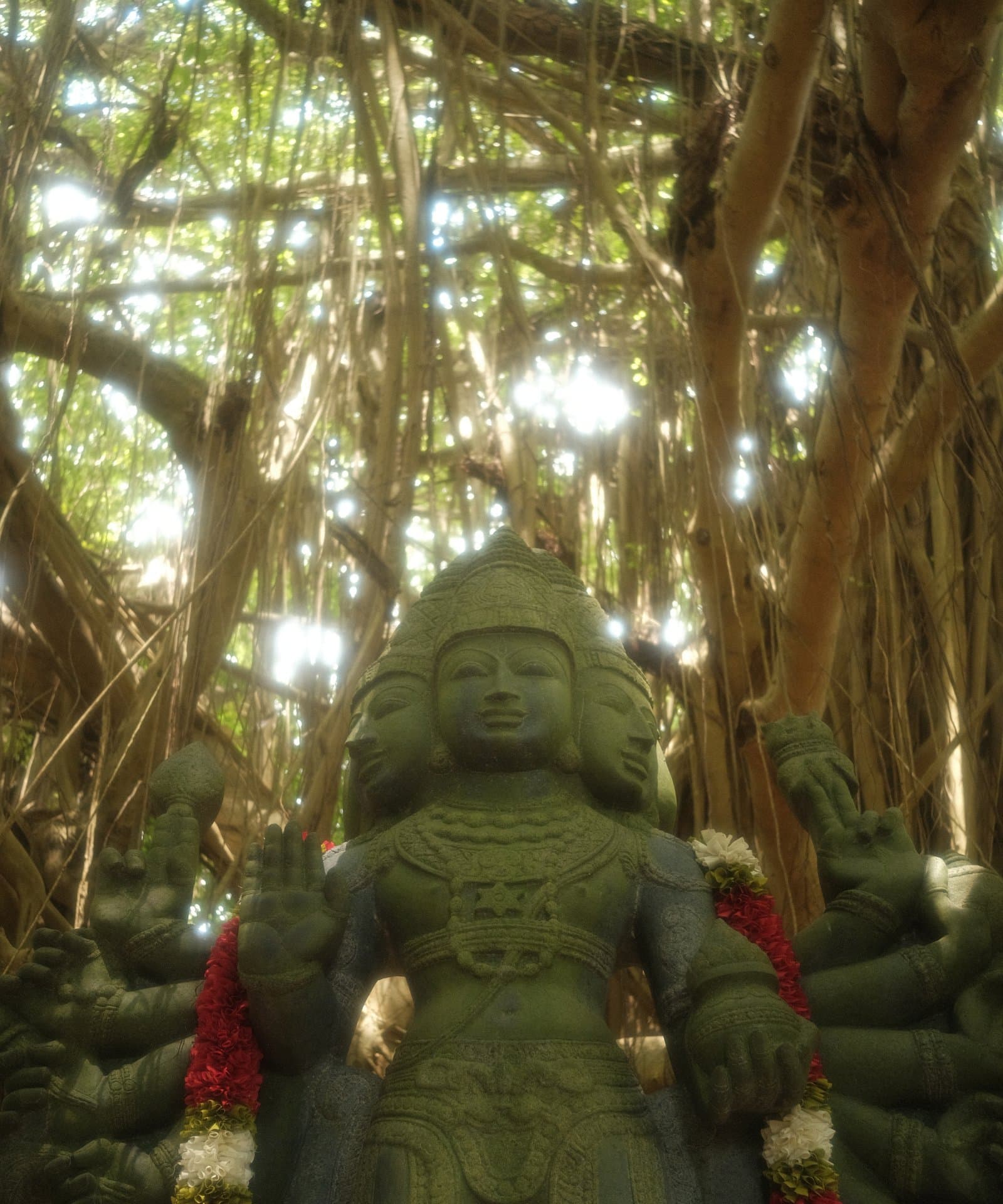 Statue beneath a banyan tree